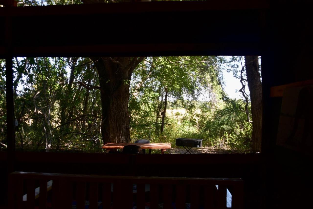 Villa Phazama Farm Maun Esterno foto