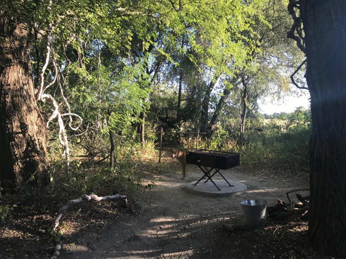 Villa Phazama Farm Maun Esterno foto