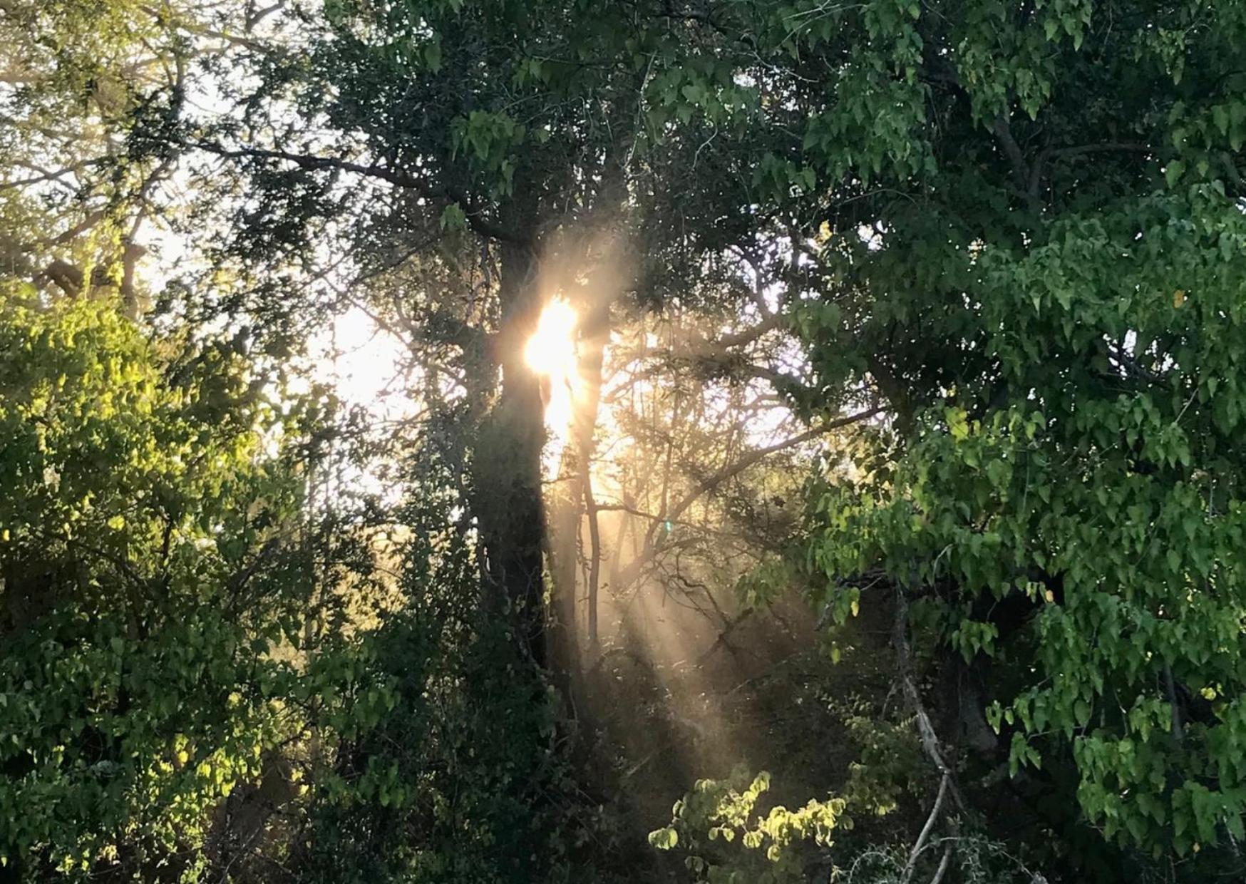 Villa Phazama Farm Maun Esterno foto