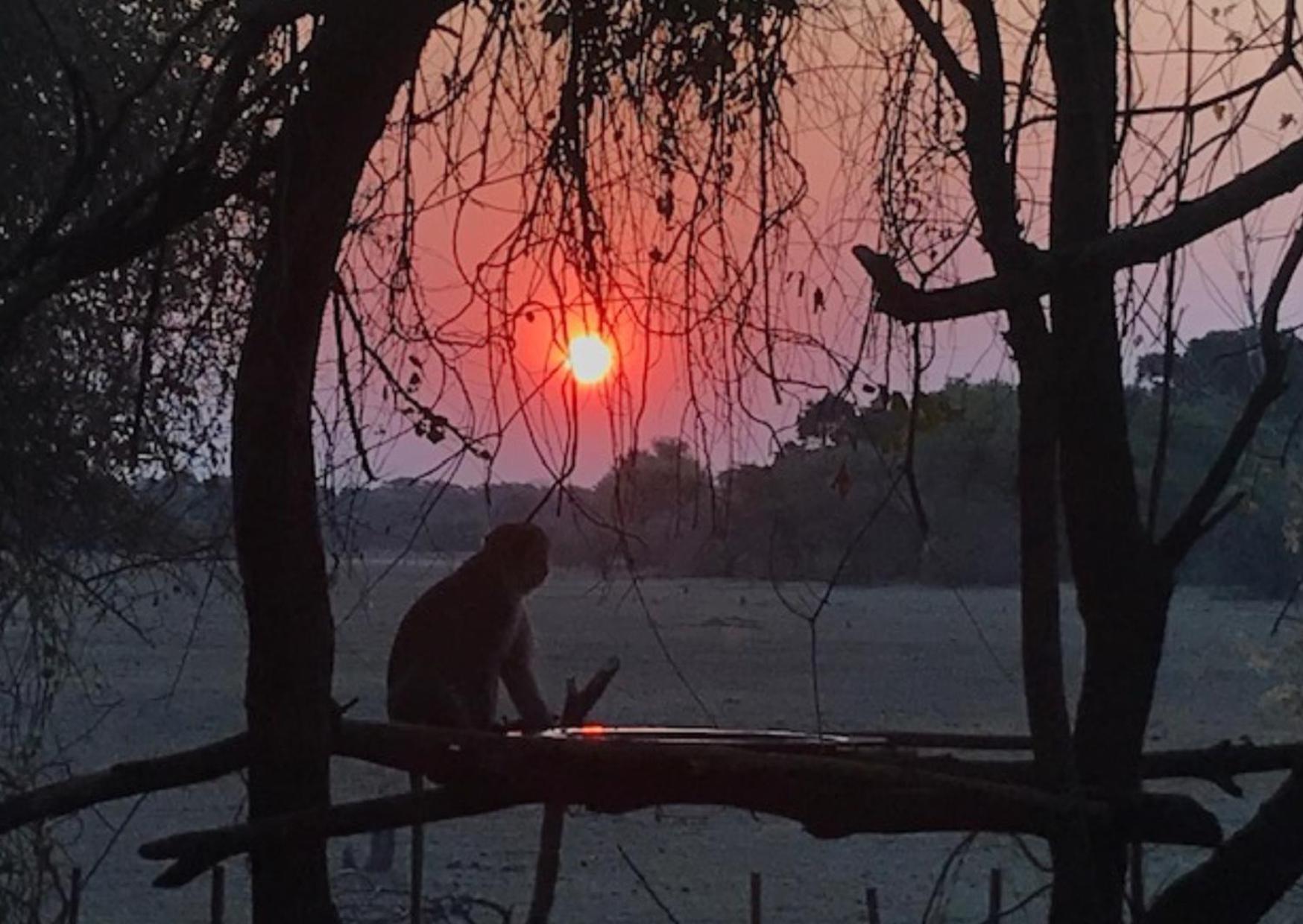 Villa Phazama Farm Maun Esterno foto